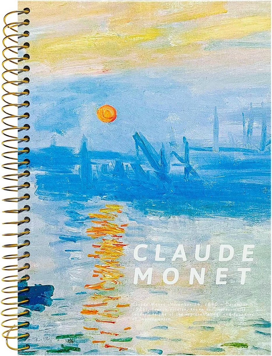 Berkin Arts Kunst-esthetisch dik spiraalvormig notitieboek met tabbladen - premium tijdschriftformaat B5 (10 "x 7") - ShopVlot