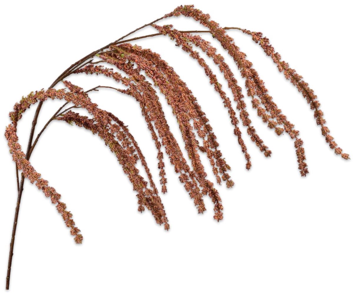 Amaranthus Hang Bruin 114 cm