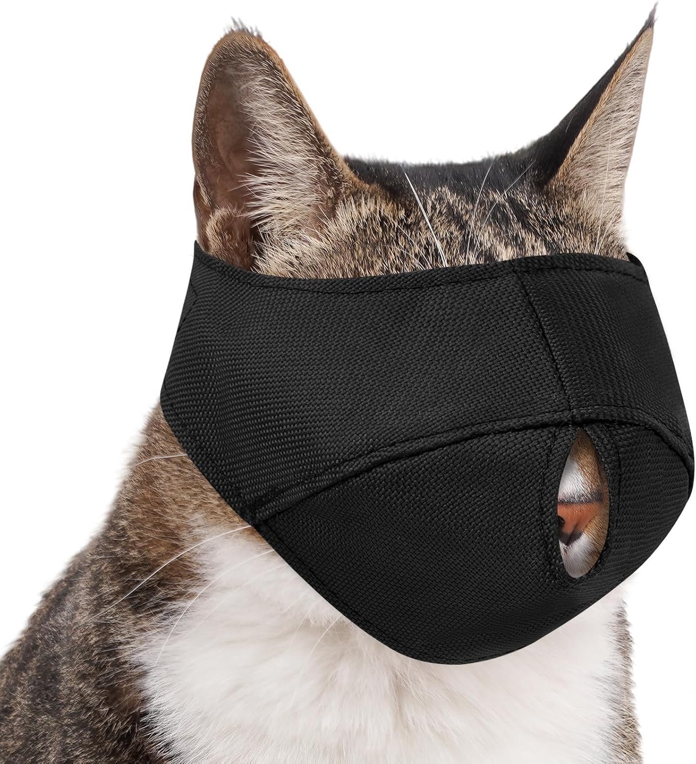 Muilkorf voor katten, ademend, muilkorf voor katten, muilkorf voor katten, van nylon, muilkorf voor katten voor het knippen van nagels, verzorging, badkamer, naar de dierenarts gaan (M)