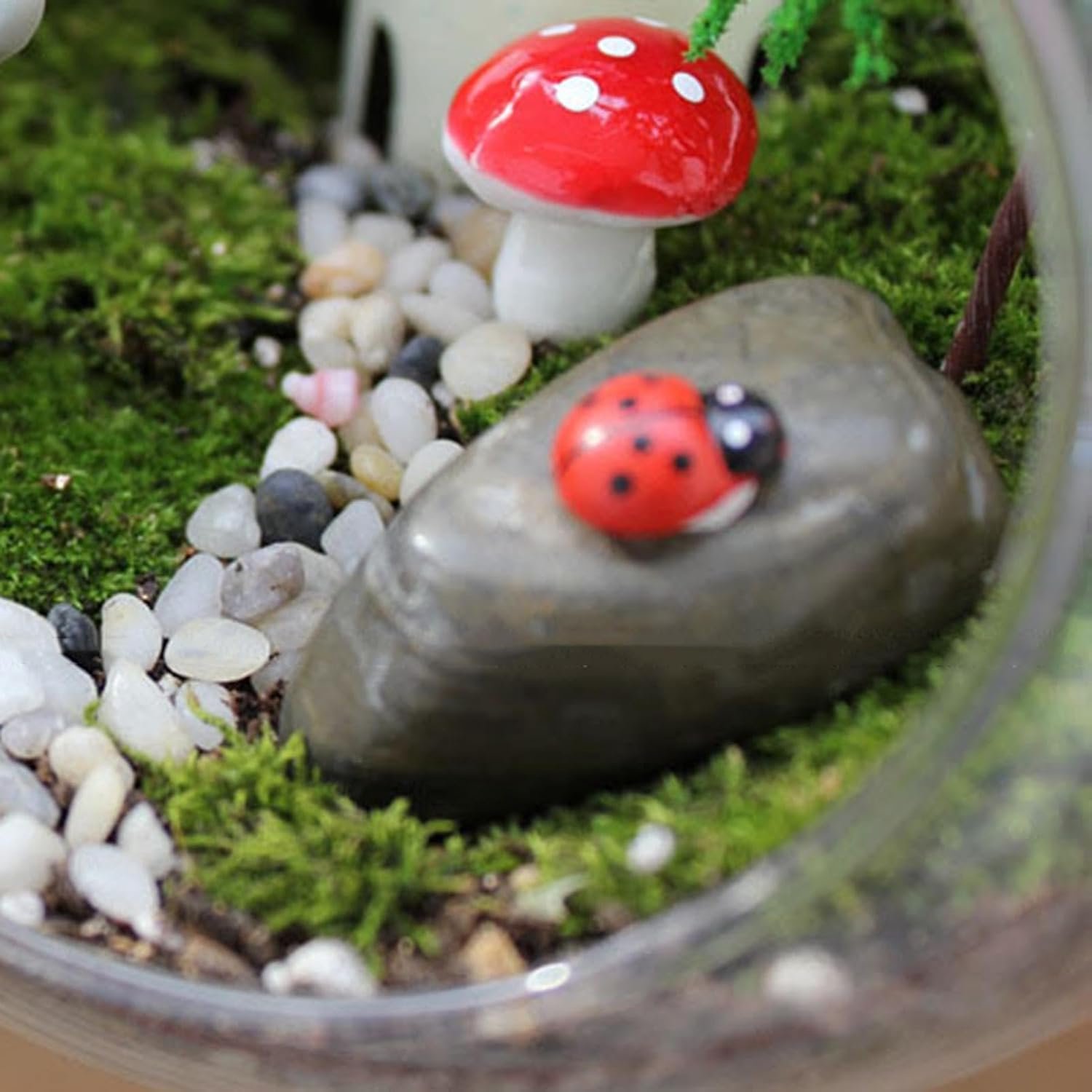 Terrarium-houder, plantenterrarium, glazen vaas met schuine mond