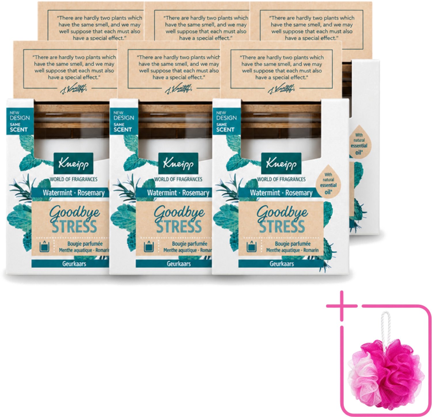 6 x Kneipp - Geurkaars - Goodbye Stress - Watermunt & Rozemarijn - 20 branduren - Bulkverpakking - Geurkaars - Douchemop - Ontspanning