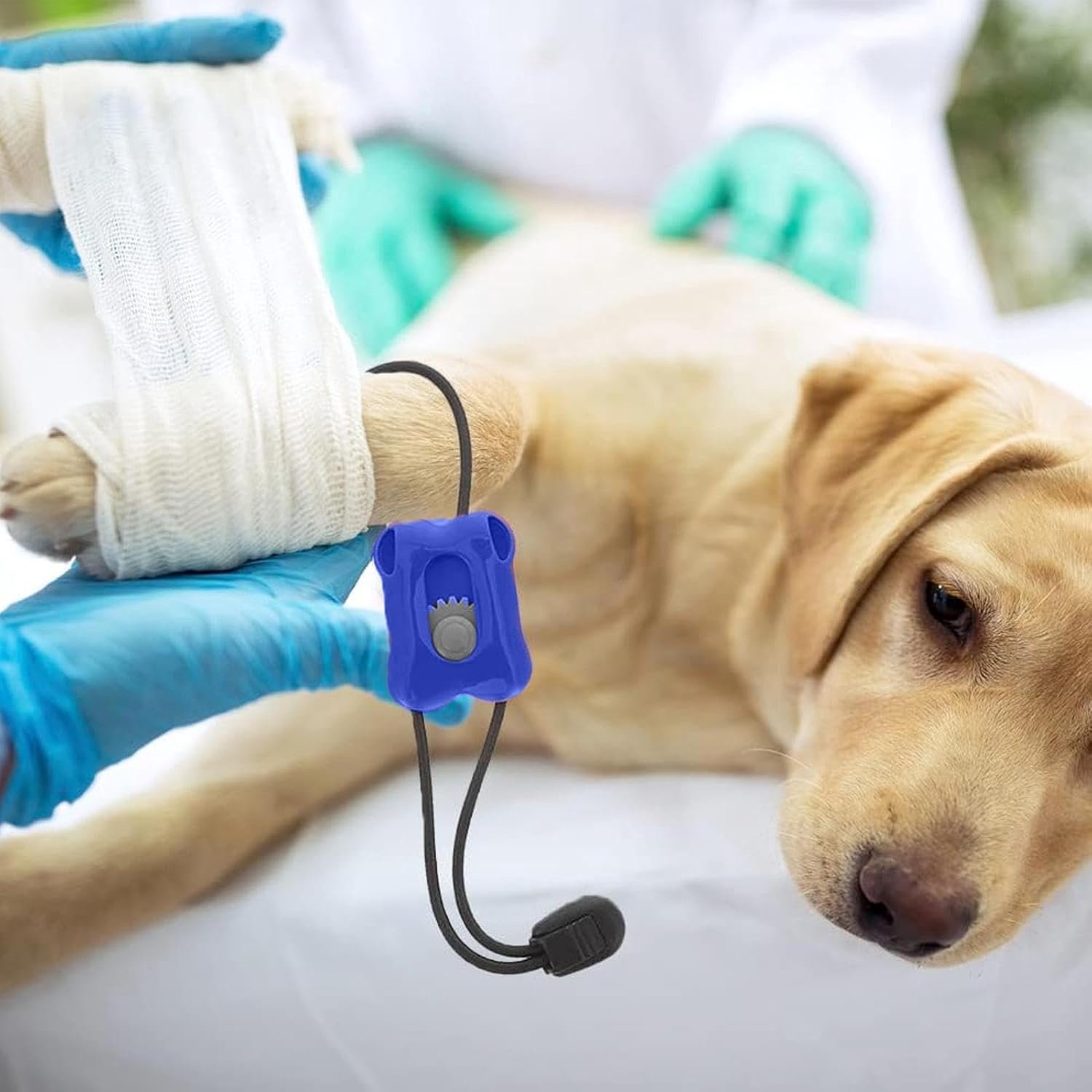 Huisdierverbanden voor honden draagbare onmiddellijke bloedingscontrole
