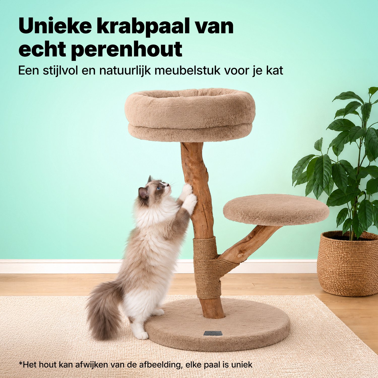 Jake Jake and Jacky Krabpaal Katten - afbeelding 2