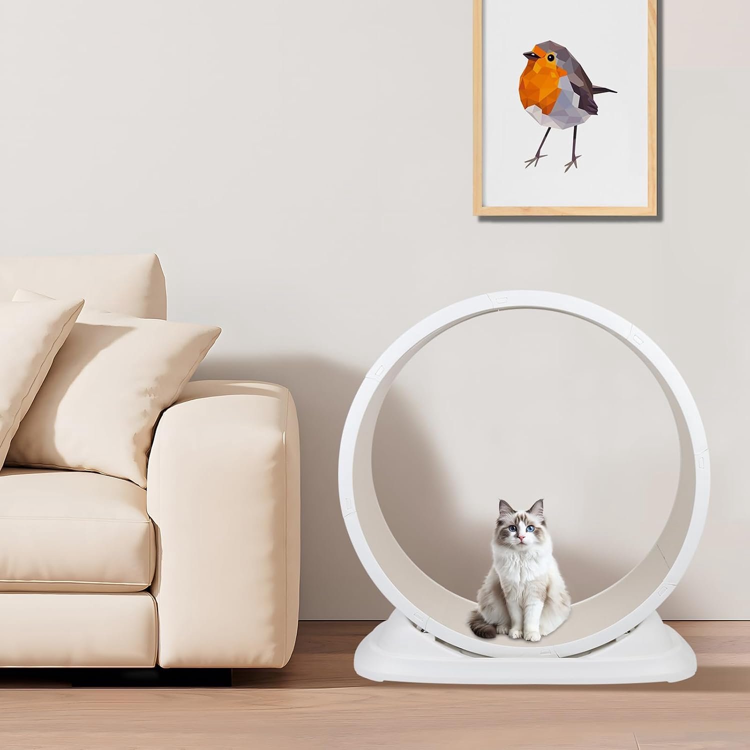 Kattenwielen, 85 x 80 x 33 cm, kattenloopbaan van kunststof, kattenoefening loopband wiel met tapijt, startbaan voor kittens dagelijkse oefening