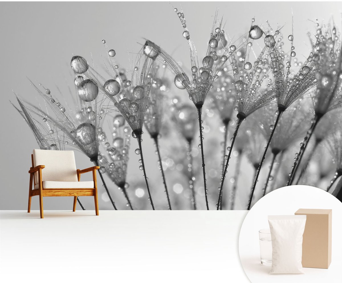Wallfluent Fotobehang - Wit Vliesbehang - 416x254 cm - Natte Delicatesse Muurschildering - Gang behang Bloemen En Planten - Fotobehang Vlies - Slaapkamer behang