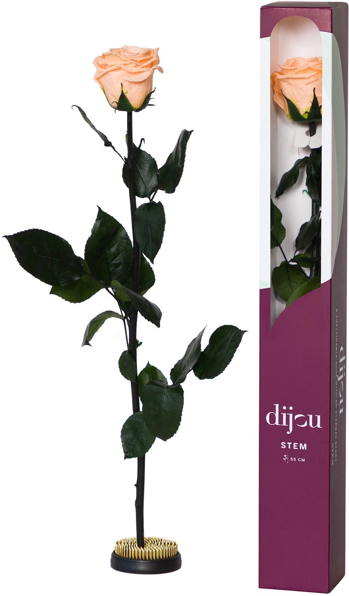 1x Dc pres.rozen peach 2015c