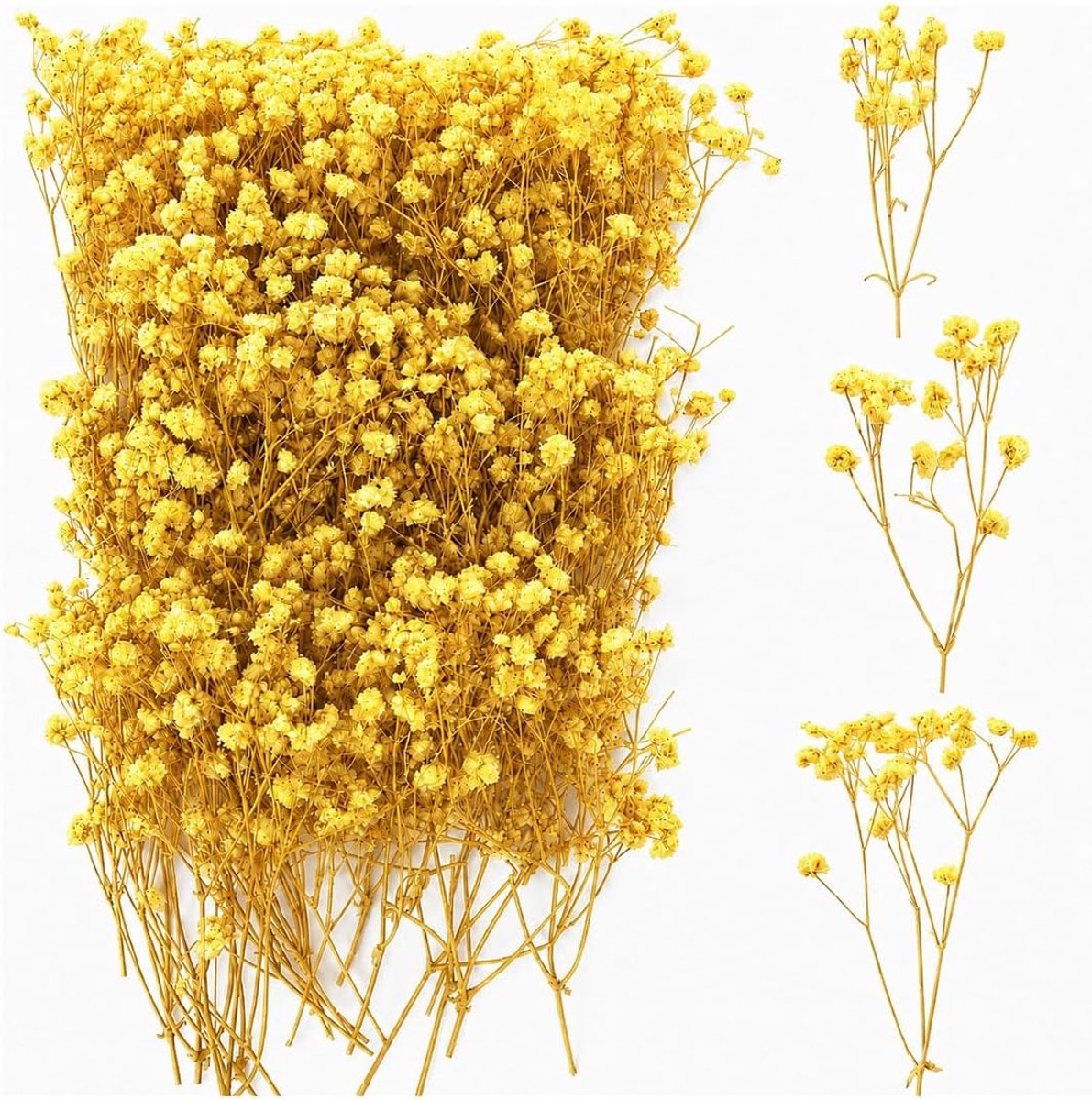Gedroogde sluierkraut 50 stuks - geel - gedroogde bloemen met gele stelen - perfect voor knutselen - ShopVlot