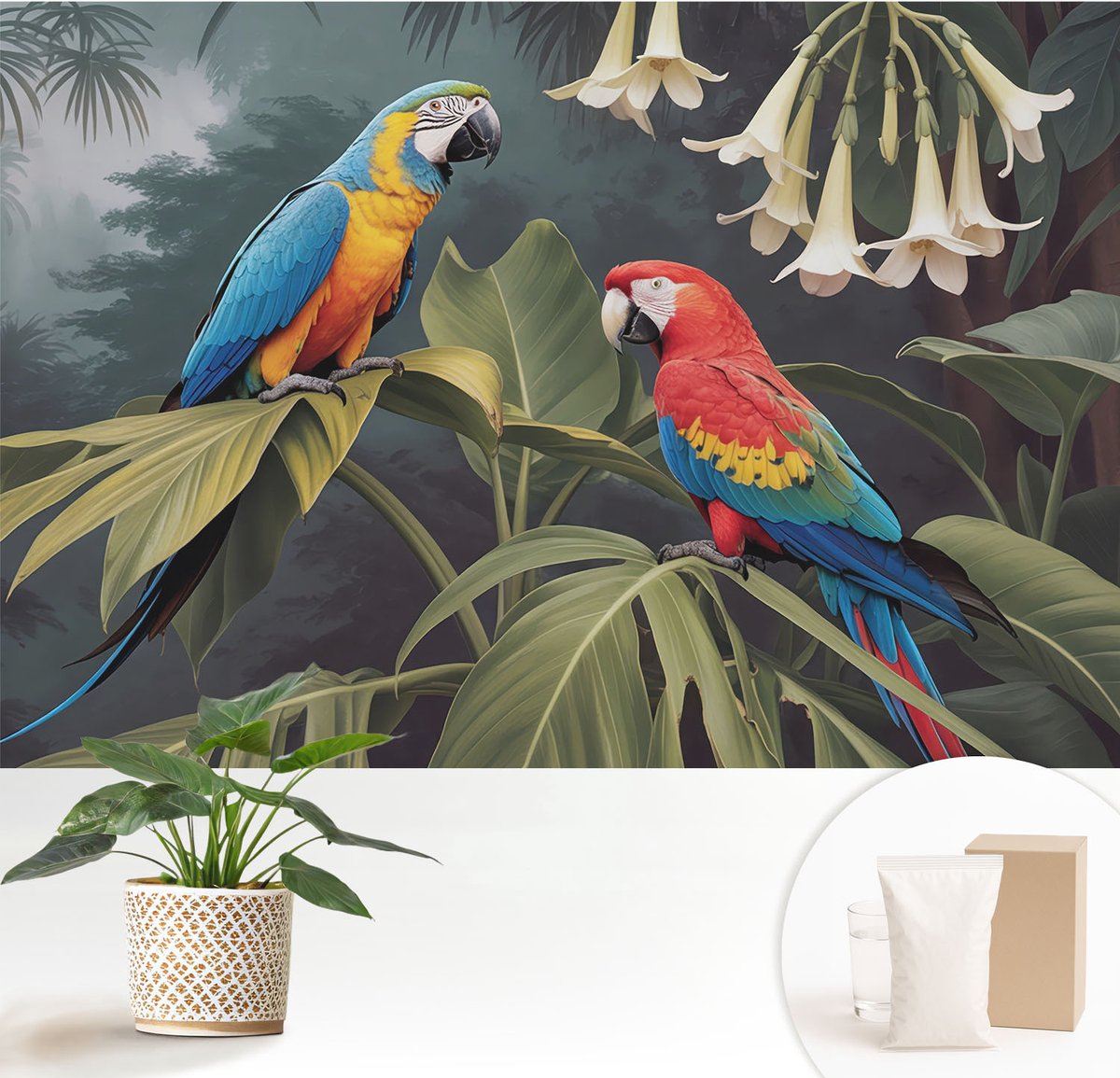 Wallfluent Fotobehang - Zwart Vliesbehang - 152x104 cm - Kleurrijke Papegaaien Fotobehang Vlies - Woonkamer behang Dieren - Muurschildering - Hal behang