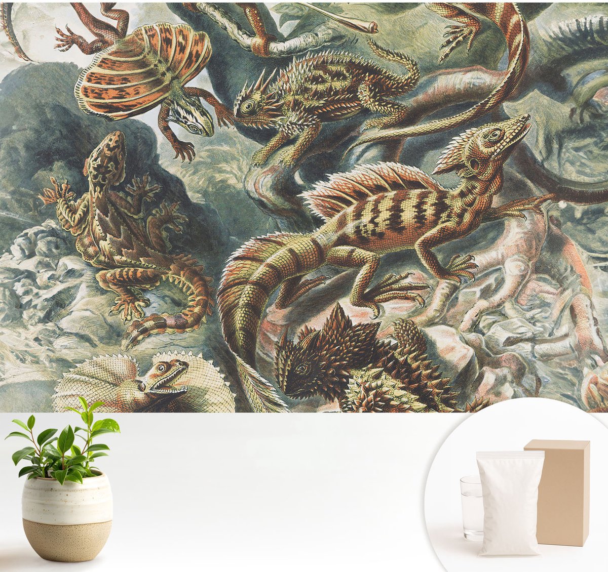 Wallfluent Fotobehang - Zwart Vliesbehang - 104x70 cm - Exotische Reptielen Fotobehang Vlies - Hal behang Dieren - Muurschildering - Hal behang