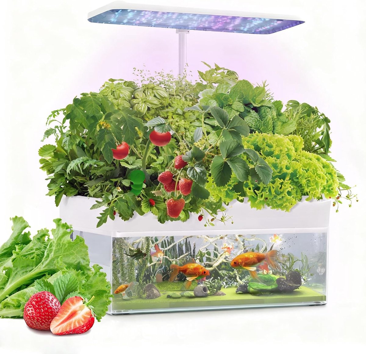 Kweeksysteem met aquarium, 12 kruidentuinsystemen, 3 groeimodi, kruidentuinset met 36 W ledlamp, geluidsarme pomp, automatische timer, in hoogte verstelbaar, wit