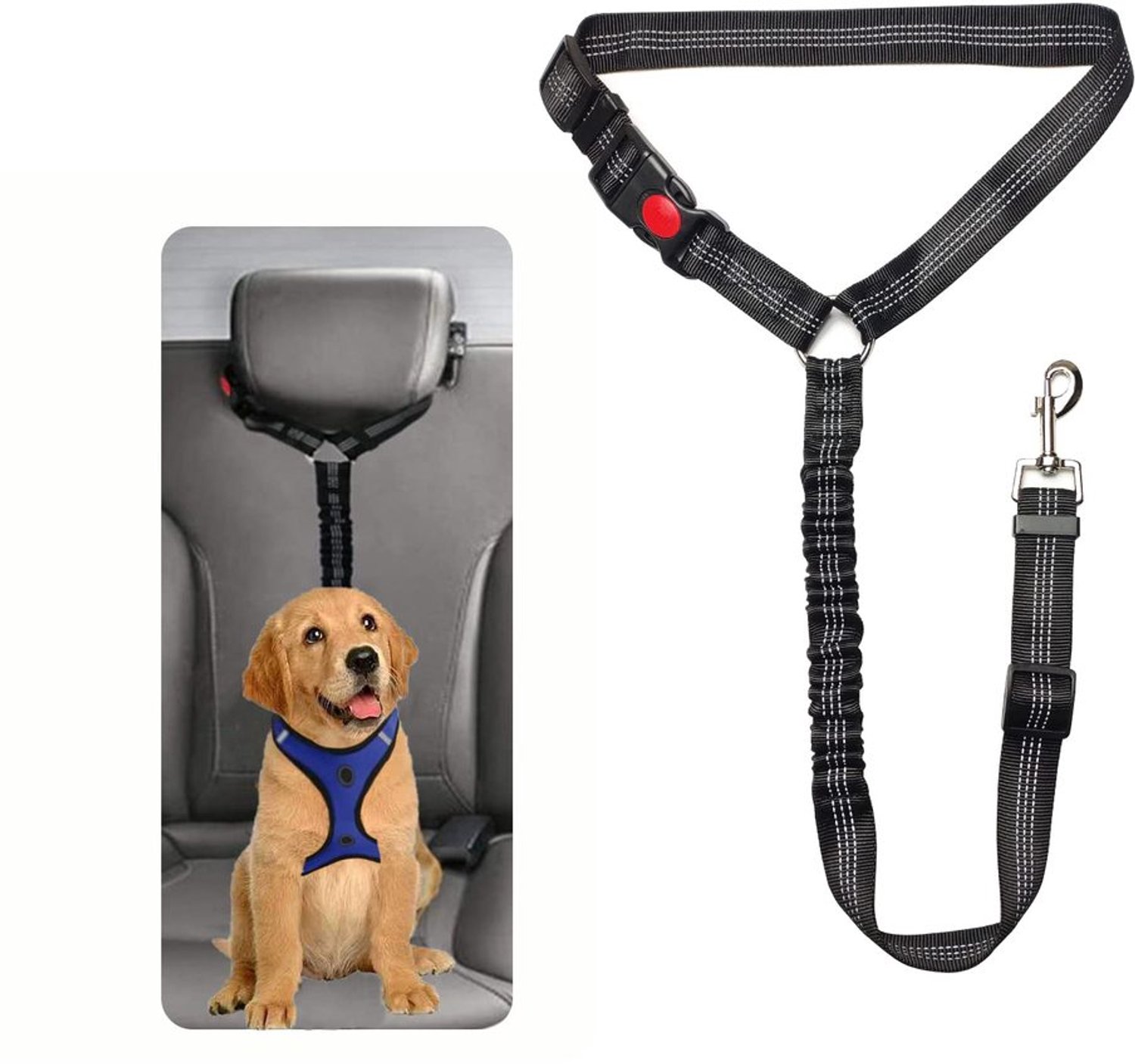 Veiligheidsgordel Honden - Veiligheidsgordel Auto - Honden Veiligheidsgordel - Verstelbaar - Polyester - Zinklegering Gesp - Hondenautogordel
