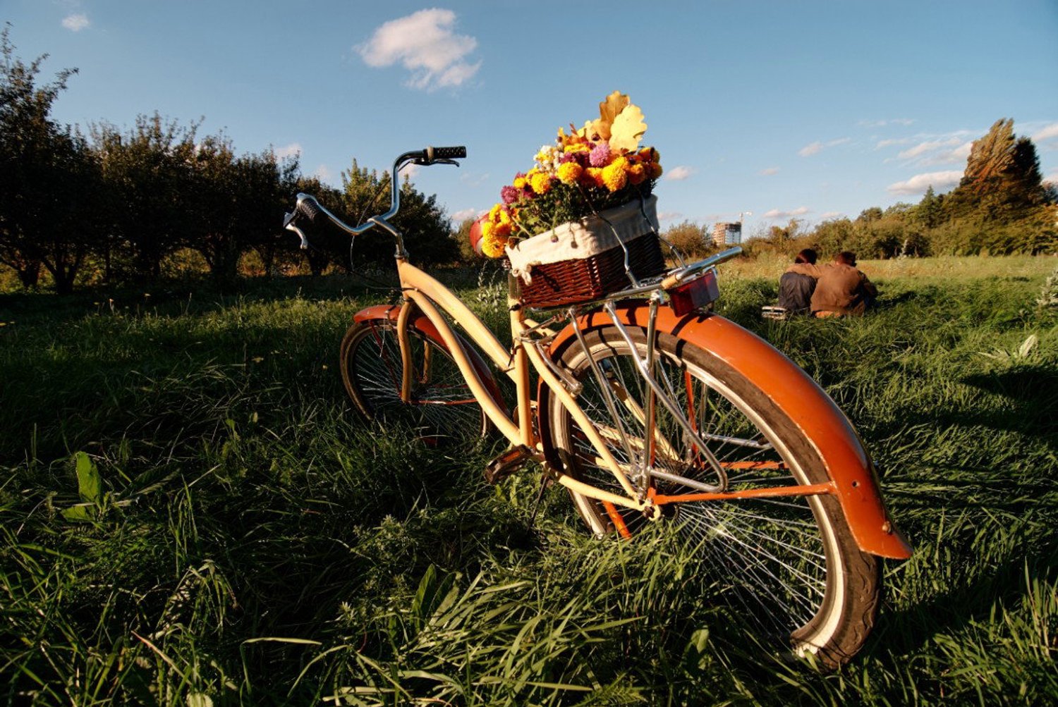 Vgdesign Fiets met bloemenmand 130x70 cm tuinposter banner VGDesign onbekend
