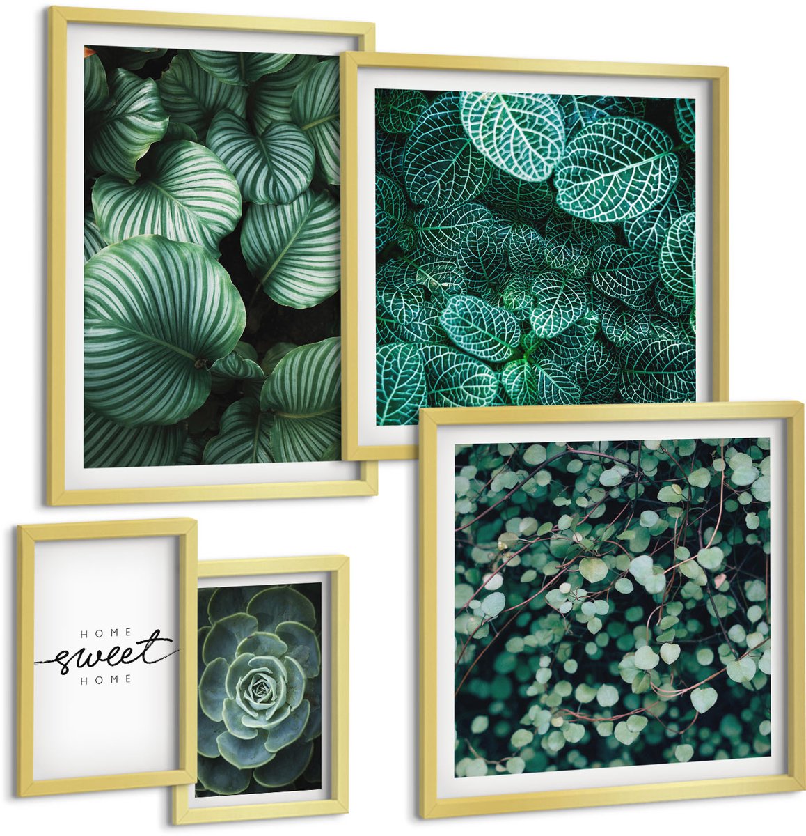 Coloray 5-Delige Schilderij Set - Groene Bladeren En Planten In Een Moderne Stijl - 50 x 50 cm, 20 x 30 cm En 40 x 60 cm - Decoratieve Schilderijen - Wanddecoratie - Hal - Moderne Wanddecoratie