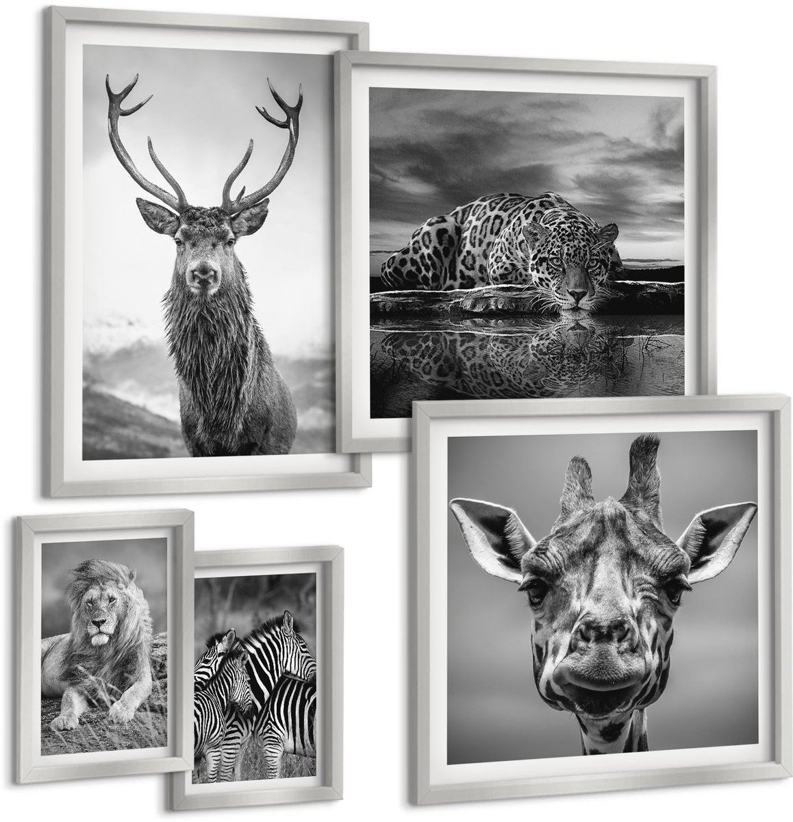 Coloray 5-Delige Schilderij Set - Wilde Dieren Van De Savanne: Leeuw, Jaguar En Zebra. - 20 x 30 cm - Stijlvolle Muurdecoratie - Kantoor - Wanddecoratie