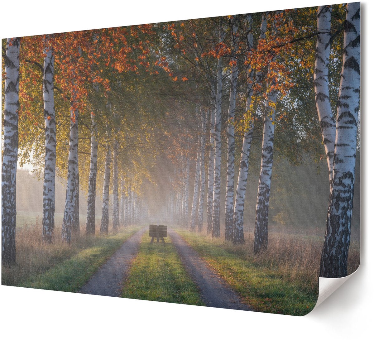 Coloray Canvas Poster Polycanvas - Romige Massa, Fotografie - A4 - Geel Poster - Rechthoek - Muurdecoratie - Woonkamer, Slaapkamer, Kantoor - Minimalist