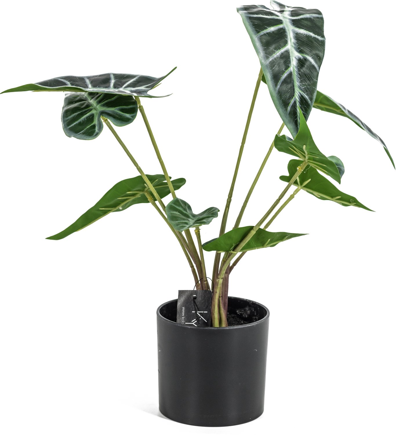 homebound by ky Alocasia kunstplant in pot Groen