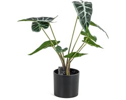 Alocasia kunstplant in pot