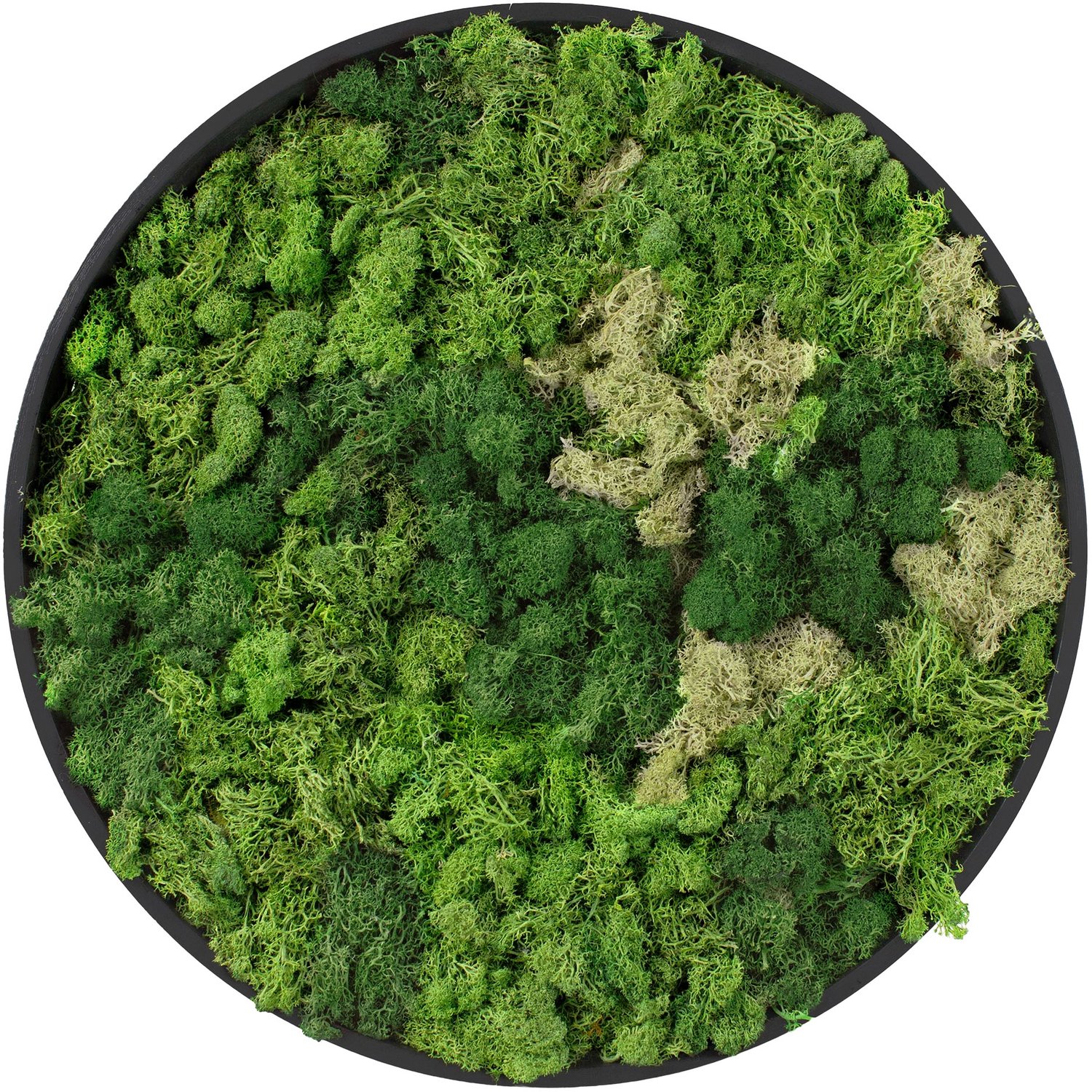 ECD Germany Mosschilderij geconserveerd iJslands rechthoekig rond Ø 30 cm interieur wanddecoratie van natuurlijk 3D mos en houten frame, onderhoudsvrij, decoratieve kunst voor huis en kantoor
