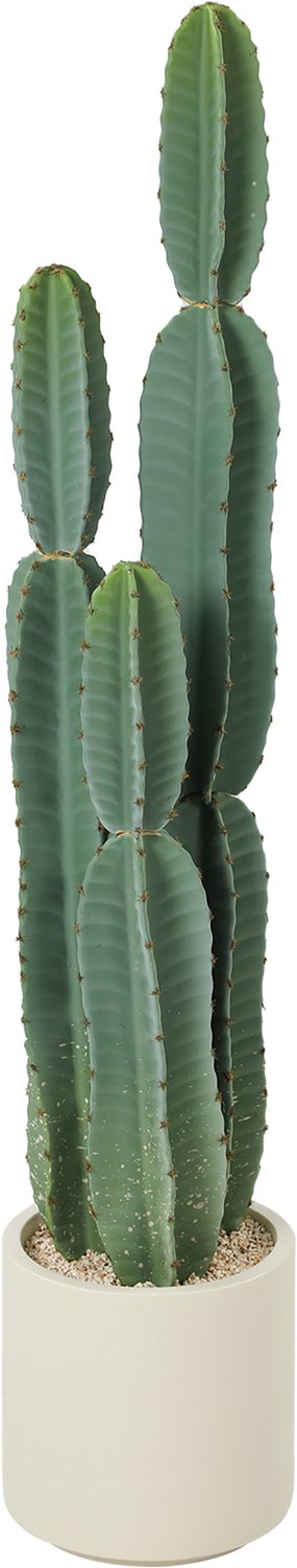 Homona Kunstplant Kaktus in pot - 111 cm hoog - Groen