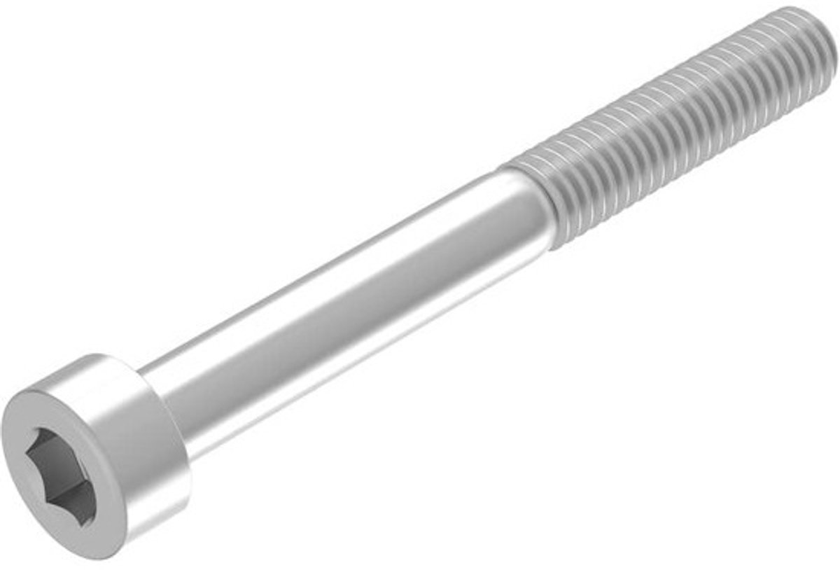 Cilinderschroef - M6 - Met binnenzeskant - Voor materiaalbevestiging - Roestvrij staal V2A - 100 mm lengte - Zilverkleurig