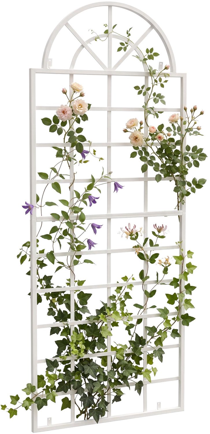 CLP Plantenklimrek Viva - Wandmontage - Voor Rozen en Klimop - wit