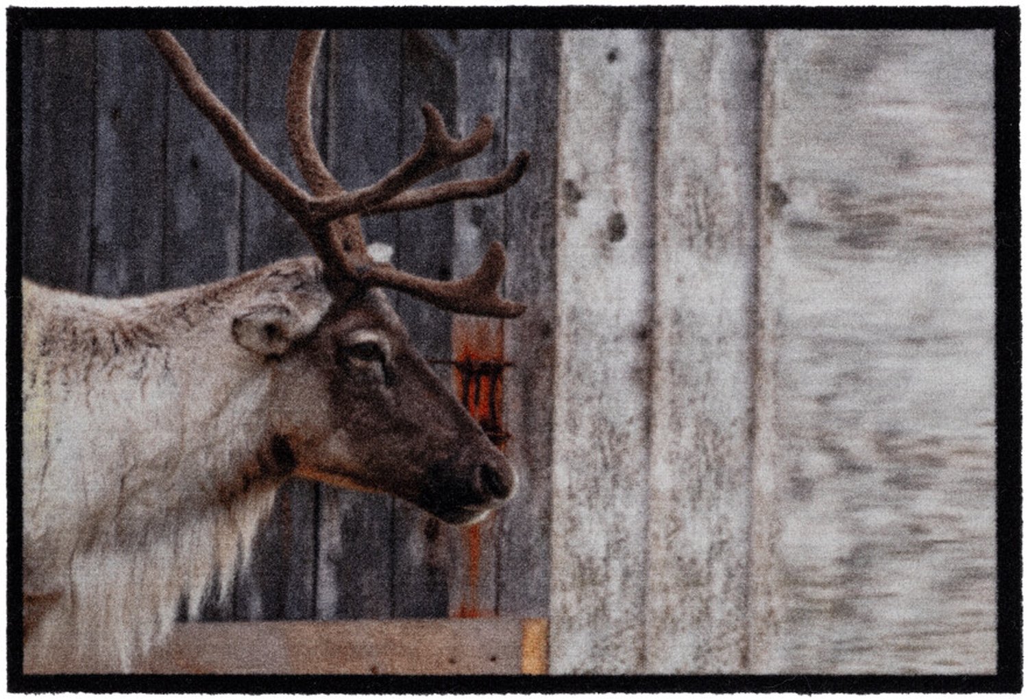 Hamat Mondial Wild Deer 50 x 75 cm - Schoonloopmat - Deurmat Binnen - Antislip - Polyamide - TPR