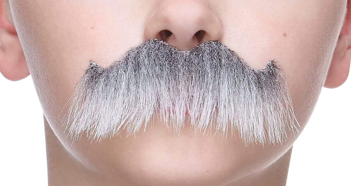Mustaches Valse snor, zelfklevend, nieuwigheid, kleine rockende opa's valse gezichtshaar, kostuumaccessoire voor - ShopVlot