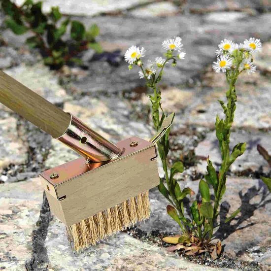 Onkruidborstel - Staal - 25 mm - Duurzame Voeg- en Tuinborstel - Voor Efficiënt Onkruidverwijderen — afbeelding 3