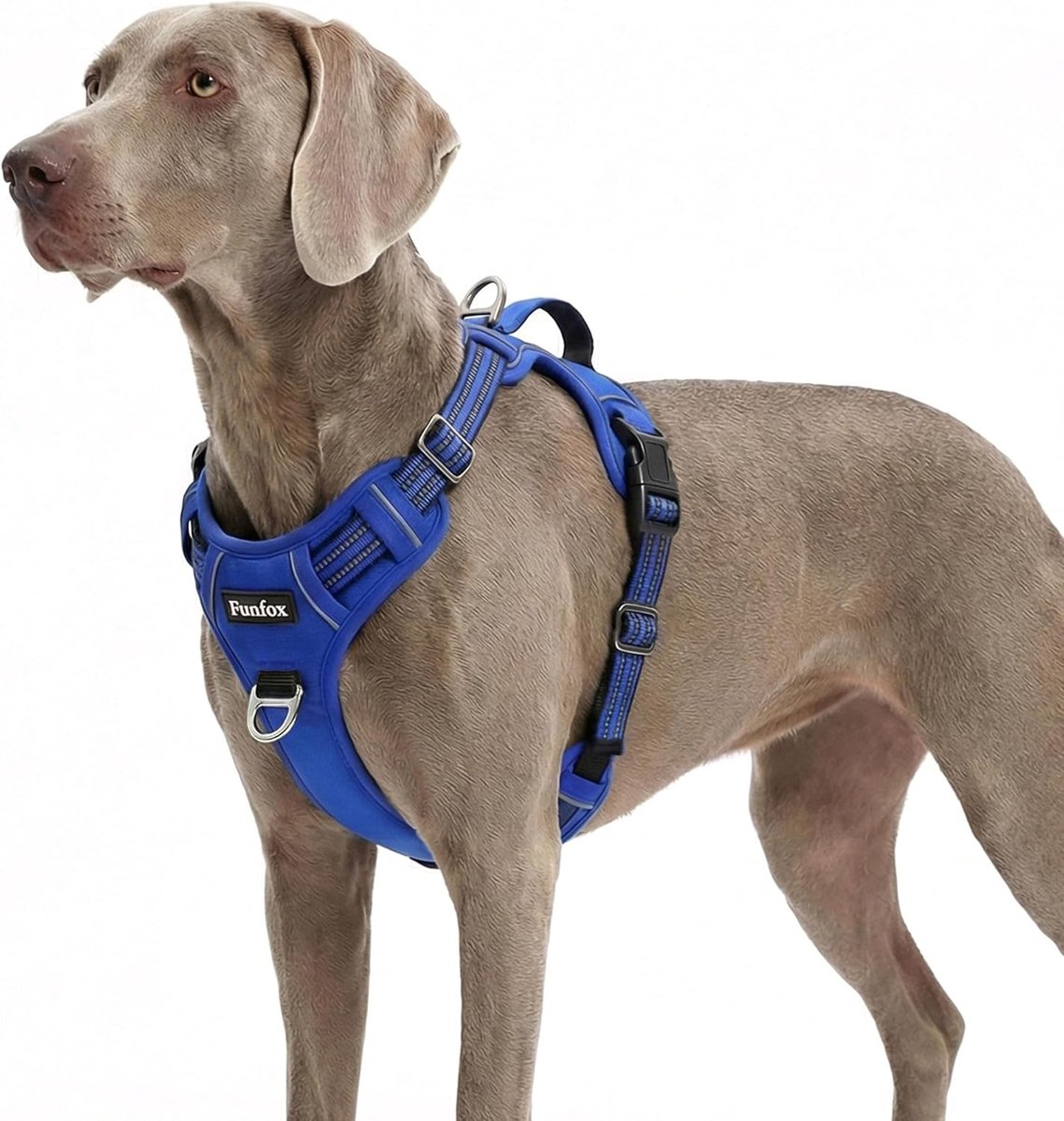Funfox Hondenharnas voor grote honden, geen trektuigje, instelbaar, anti-trekking, veiligheidsharnas, middelgrote - ShopVlot