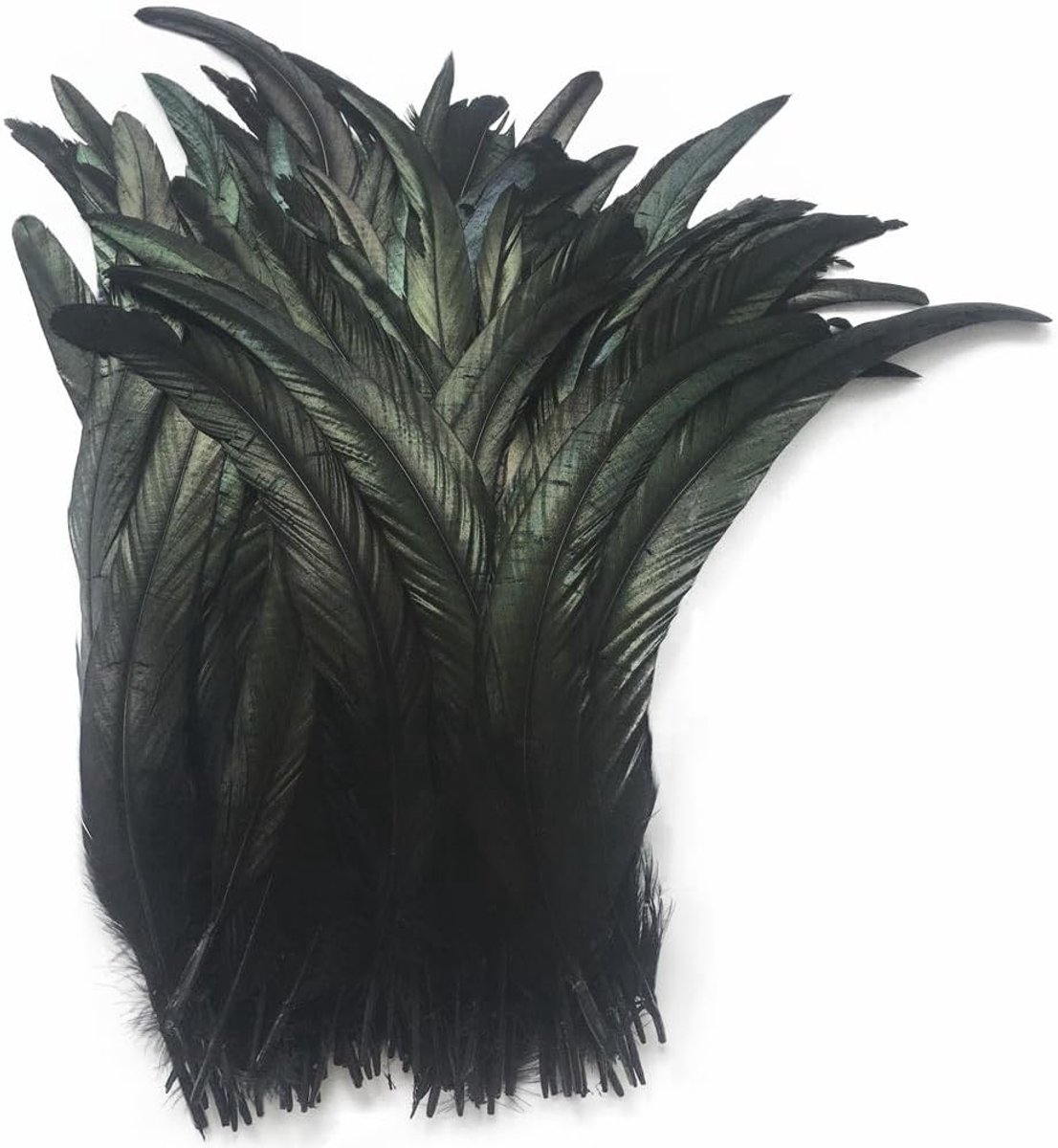 Rooster Fans 27-35 cm - Zwart - Natuurlijke veren - Perfect voor decoratie - ShopVlot
