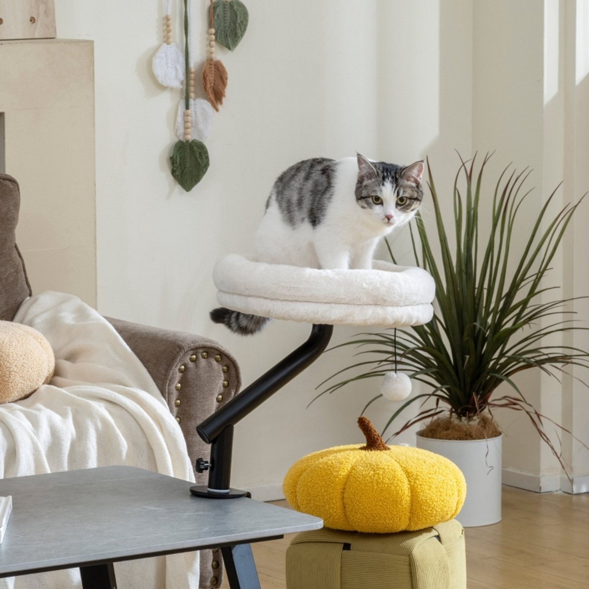 REDOM - Kattenhangmat voor bureau - 360° draaibaar en in hoogte verstelbaar - Afneembare en machinewasbare ligbak - Met speelbal - Voor bureau of vensterbank - Polyester - Crèmewit - 35 x 35 x 48 cm