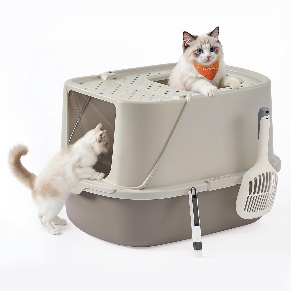 Famanu – Grote XXL kattenbak met deksel, inclusief schepje en borstel, ideaal voor katten