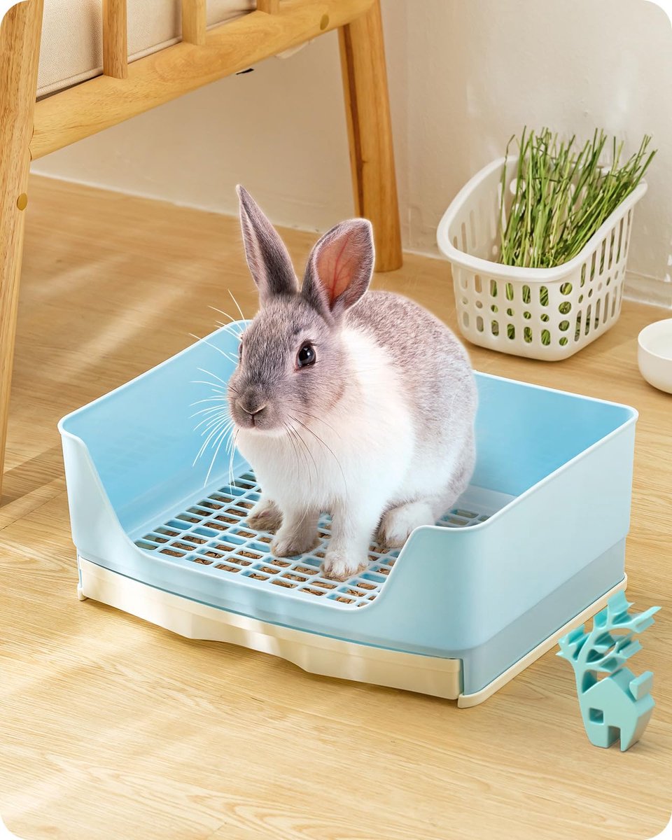 Famanu – Hoek toilet voor konijnen, grote konijnenkooi met uitneembare lade, kattentoilet voor kleine dieren, L formaat, blauw, ideaal voor huisdieren