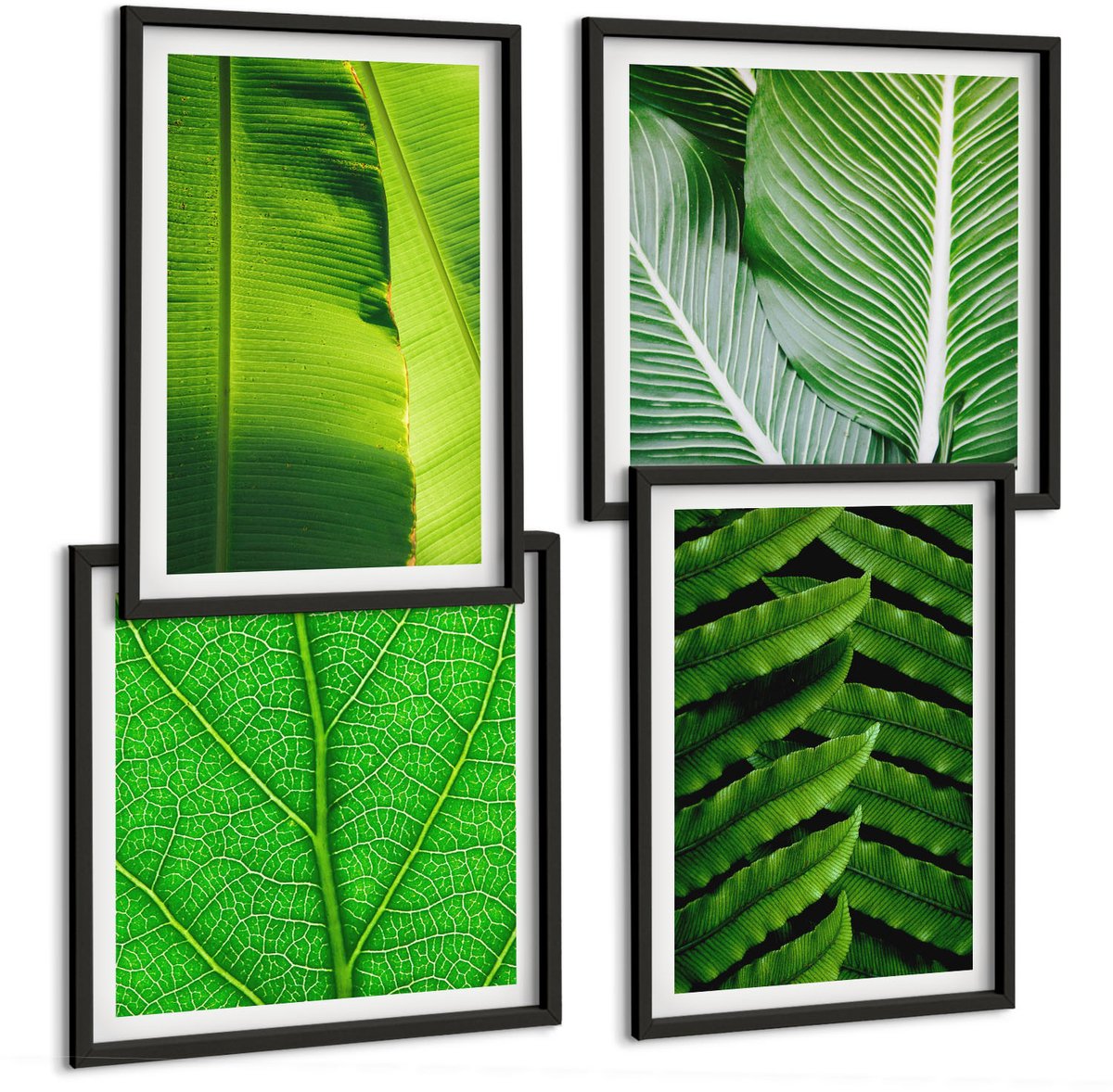 Tulup 4-Delige Schilderij Set - Close-ups van tropische bladeren - 40 x 40 cm en 40 x 60 cm - Muurdecoratie - Wanddecoratie - Slaapkamer - Woonkamer Decoratie