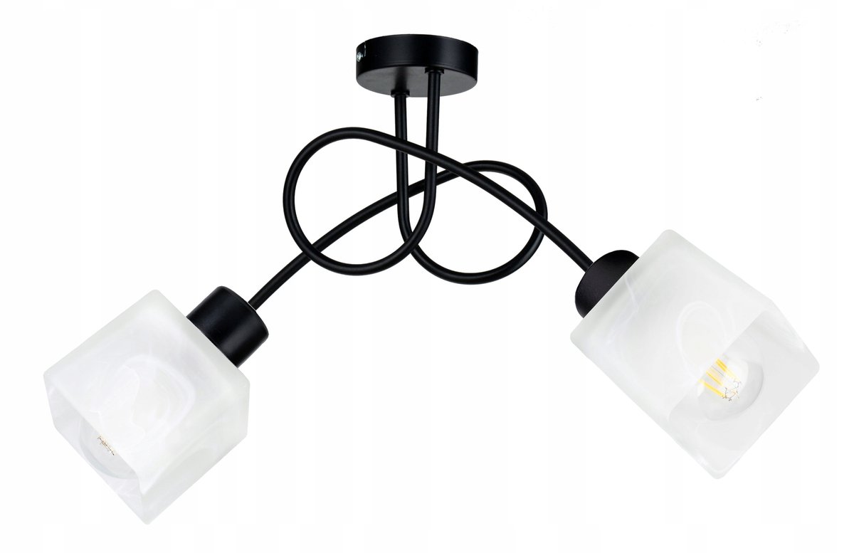 Loft Hanglamp Glas E27 Zwart - 2 lichtpunten