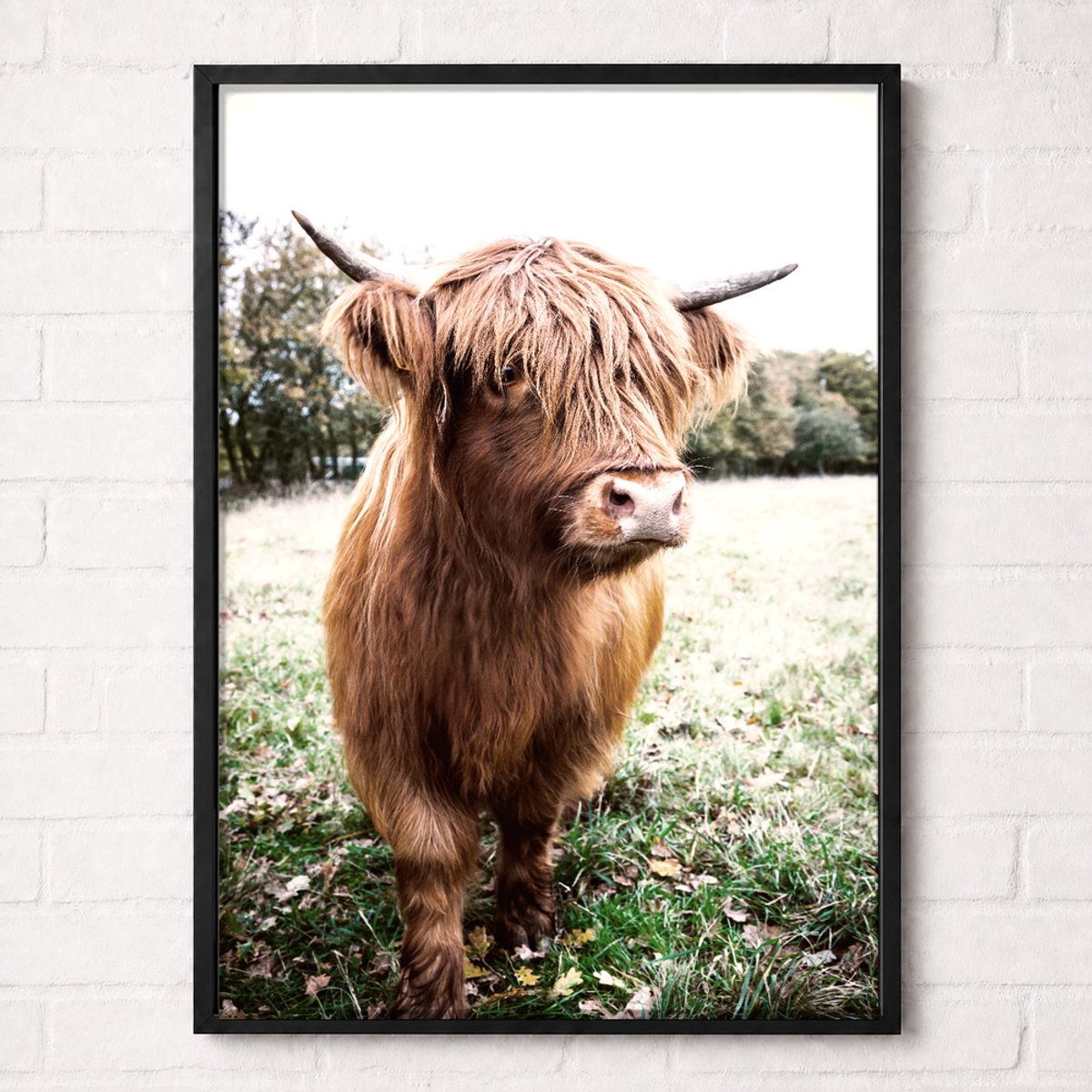 Schotse Hooglander in het Bloemenveld Poster - Nature Animals Collection - Natuur Posters - A2+ 43,2 x 61 cm