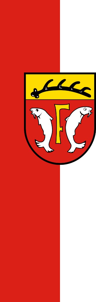 Vlag Freudenstadt 100x150cm