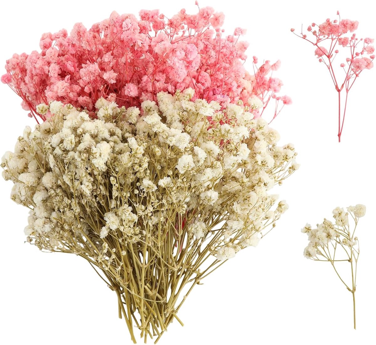 100 stuks gedroogde nevels, meerdere bloemknoppen Gypsophila, nevel Gypsophila bloemen, natuurlijke gedroogde bloemen - ShopVlot