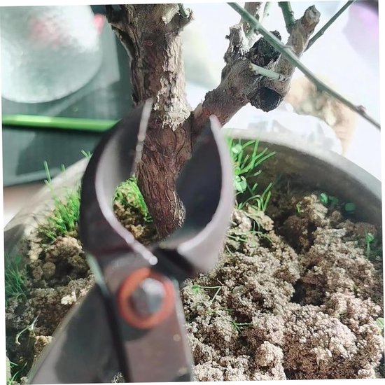 Bonsai Gereedschap - Takken Snoeier Tuin - Bomen Vormgeven - Nauwkeurig Snijden - 21 cm - Zilver — afbeelding 2