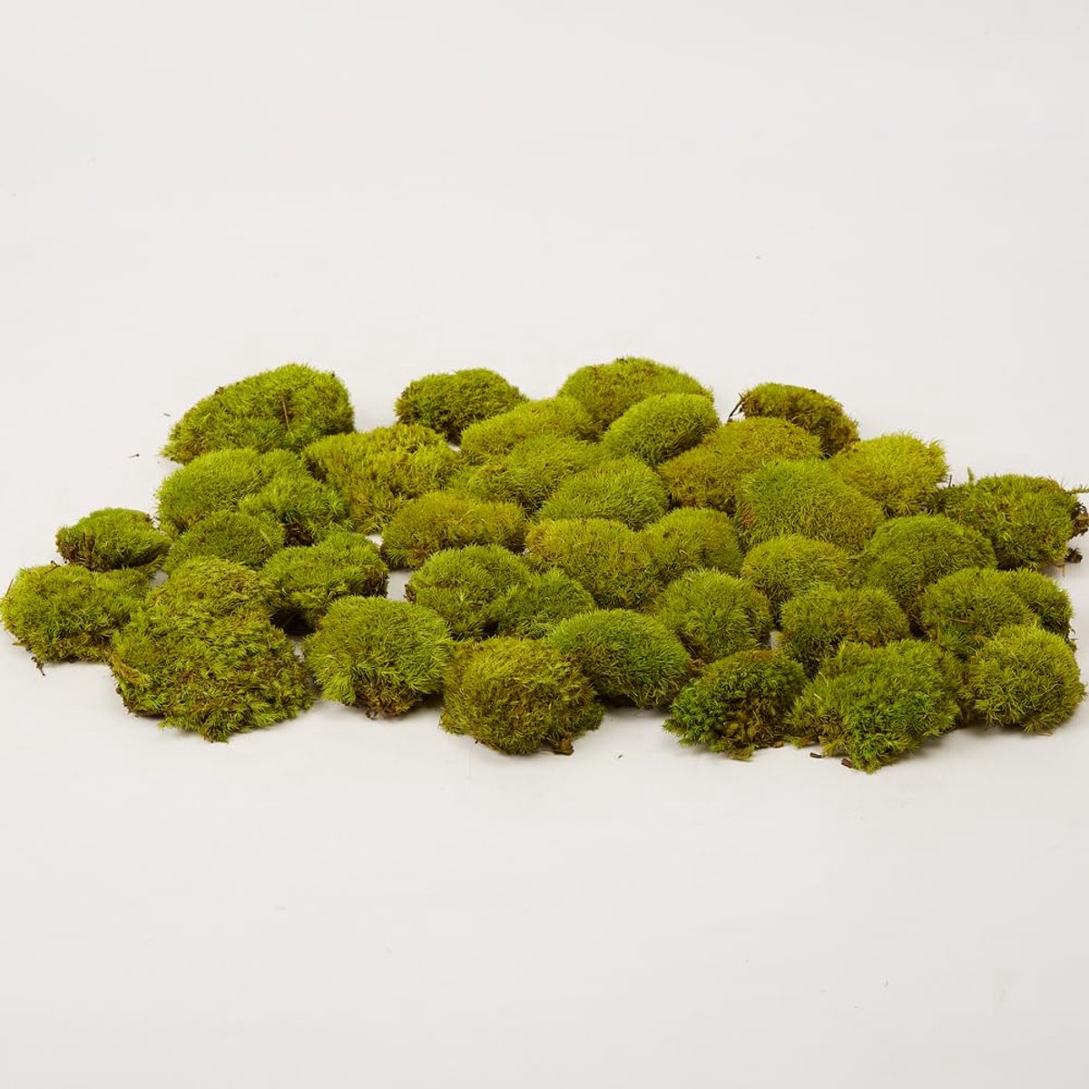 Dailygoods- Moskussen Natuurlijke Decoratie - Kussenmos - DIY Kit - Tuinieren - Kunstprojecten - 1,5 m² - Groen - Decoratiemateriaal