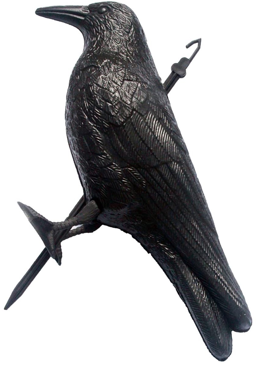 SnelShoppen - Natuurlijke Vogelverschrikker Plastic Raven Fake Crow Decoy - Effectieve Tuinbescherming - Ideaal voor Tuin, Moestuin, Camping - 1 Stuks