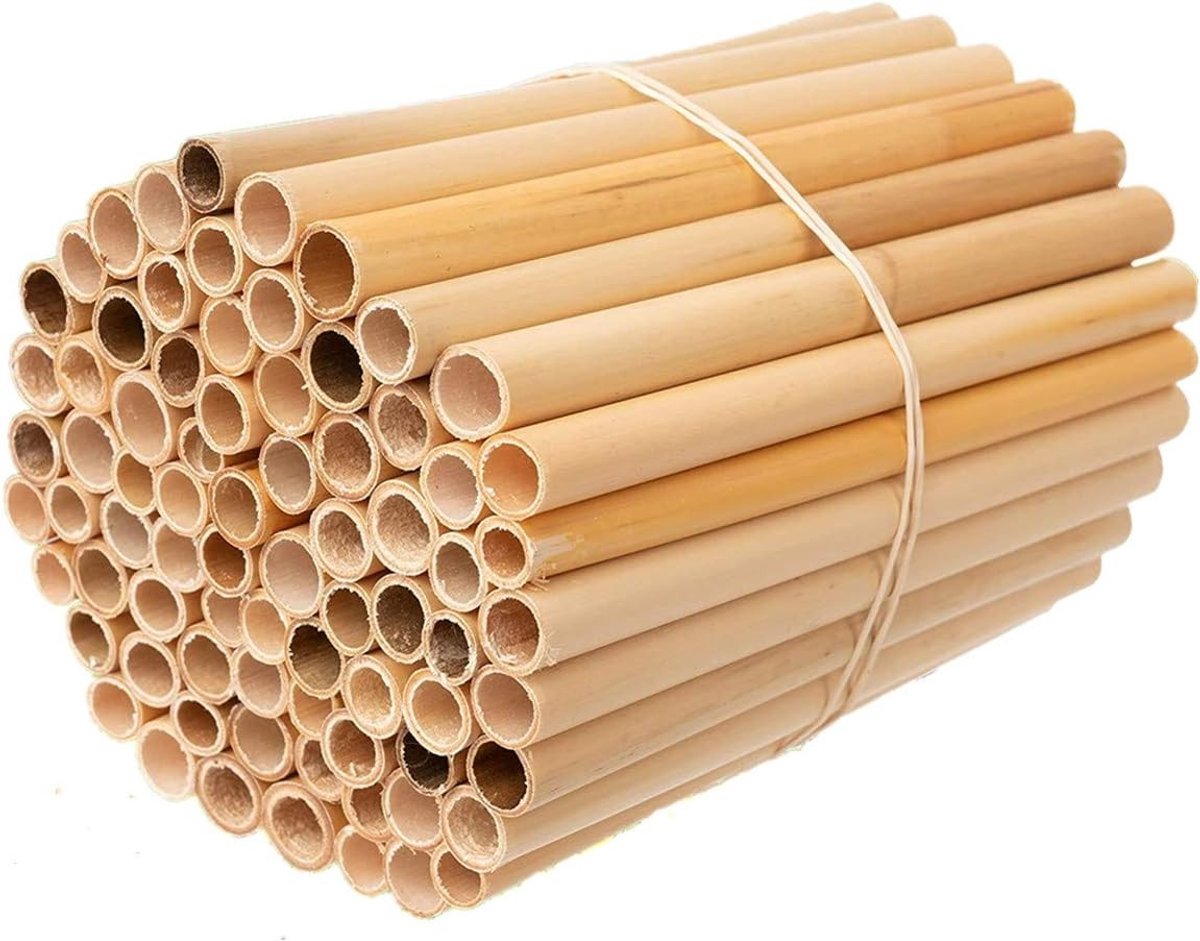 Rietbuizen voor Insectenhotels - 15 cm - Glad en Waterdicht - Nesthulp voor Bijen