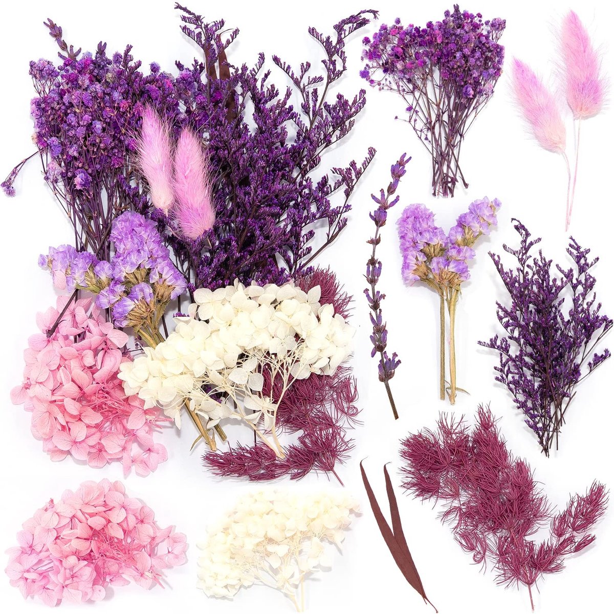 Omgoods - Set van Natuurlijke Gedroogde Bloemen voor Creatieve Projecten