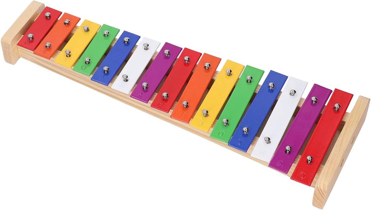 Xylofoon Kinderen - Muziek Speelgoed - Muziek Ontdekken - 15 Melodieuze Noten - 40 x 14 x 4 cm - Kleurrijk