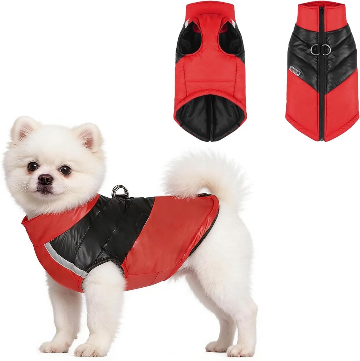 Winterjas voor Honden, Winddicht en Waterdicht, 2-in-1 Ontwerp, Geschikt voor Kleine Honden en Puppies, Reflecterende Strepen voor Extra Zichtbaarheid