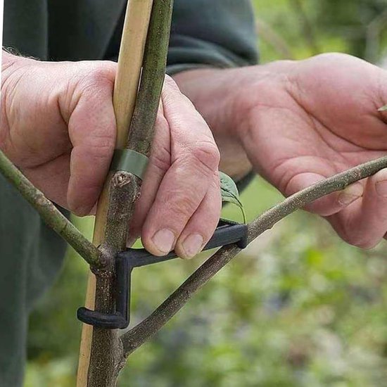 Takkentrekker - Boomstrooier Plantensteun - Bomen Vormgeven - Verstelbaar Gereedschap - 20 stuks - Niet gespecificeerd — afbeelding 2