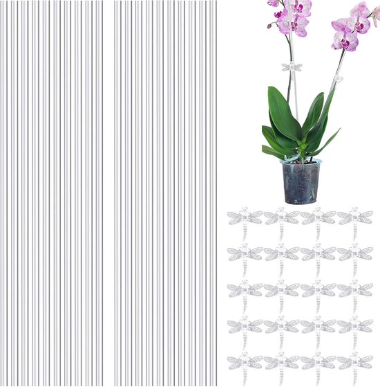 Klimplantsteunen Set - Plantenhouders Acryl - Planten Ondersteunen - Glad en Braamvrij - 20 Stuks - Transparant