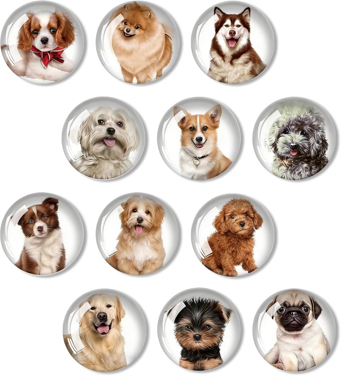 SnelShoppen - 12 stuks Ronde Glazen Koelkastmagneten Hond | 3D Magneten voor Koelkast, Magneetbord, Whiteboard, Keuken, Feest, Kinderen, Hoogwaardige