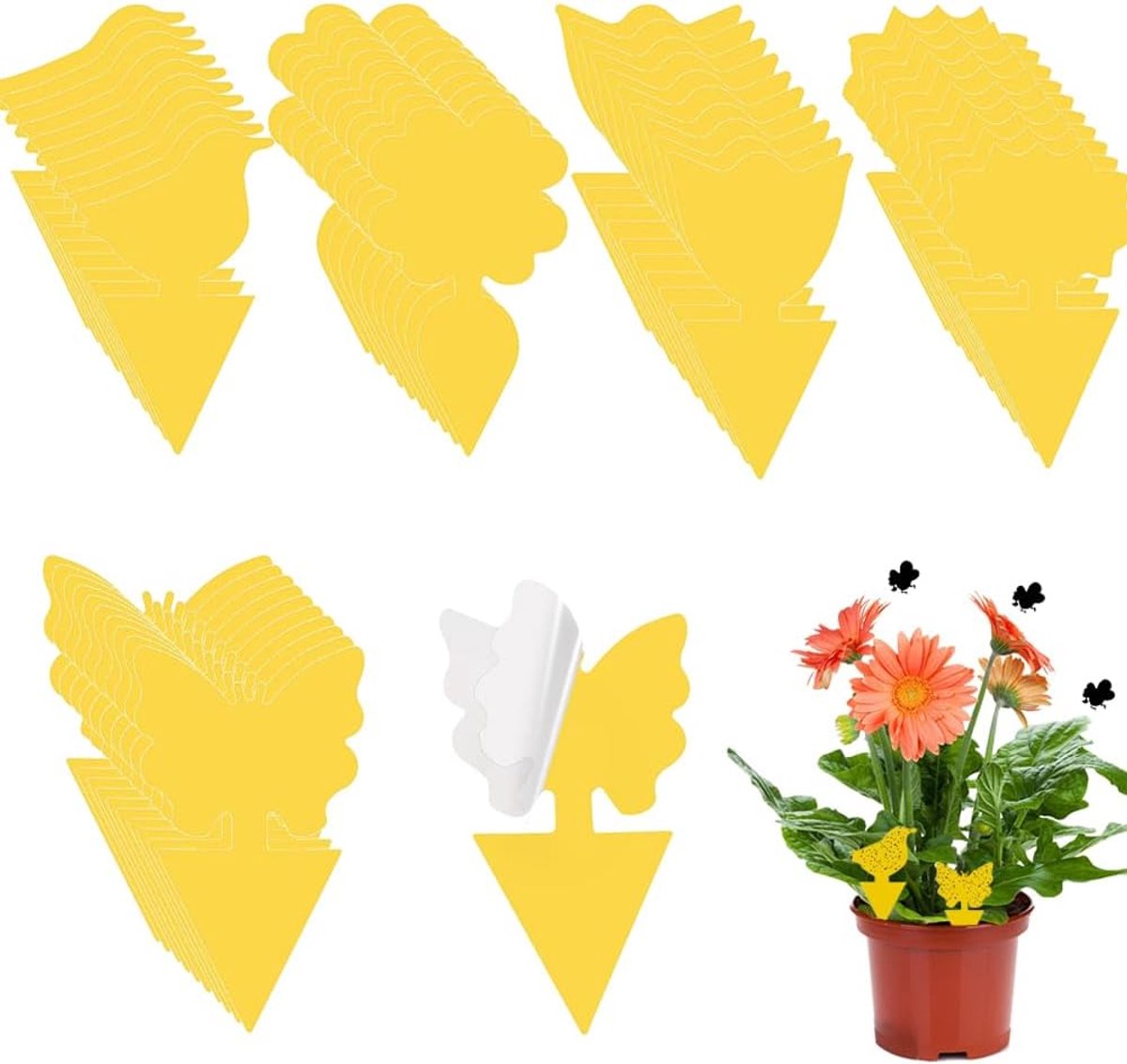 SnelShoppen - Pack van 50 Gele Stickers tegen Begrafenis Fruitvliegjes, Plakvliegenvangers, Gele Insectenvallen, Duurzaam PP Materiaal voor Tuin en Bi