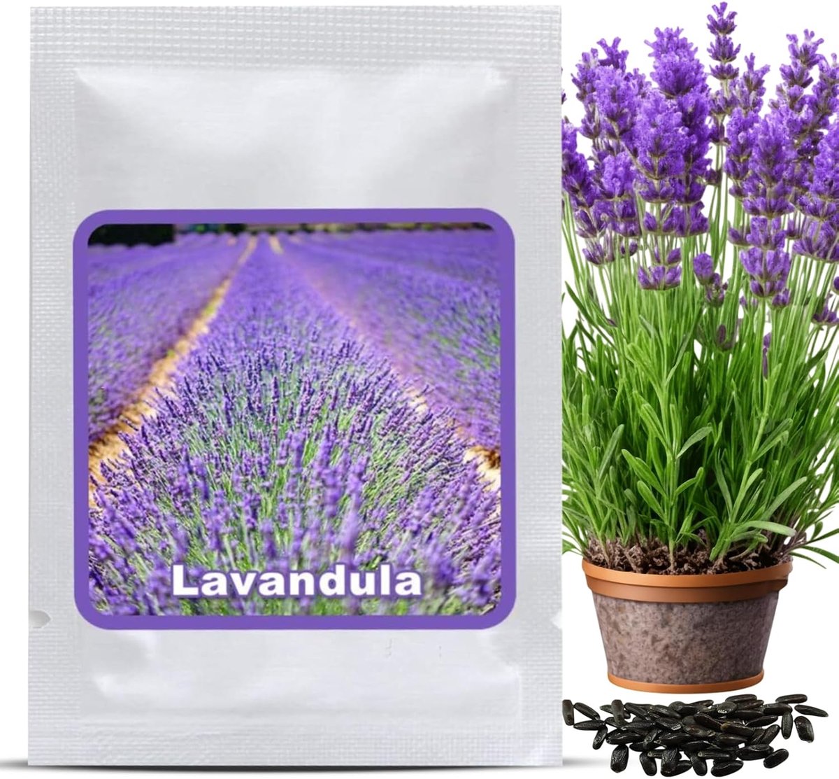 SnelShoppen - Lavendelzaad (150 Stuks) - Lavandula angustifolia - Intense Geur voor Tuin & Balkon - Bijenvriendelijk - Aromatische Bloemen